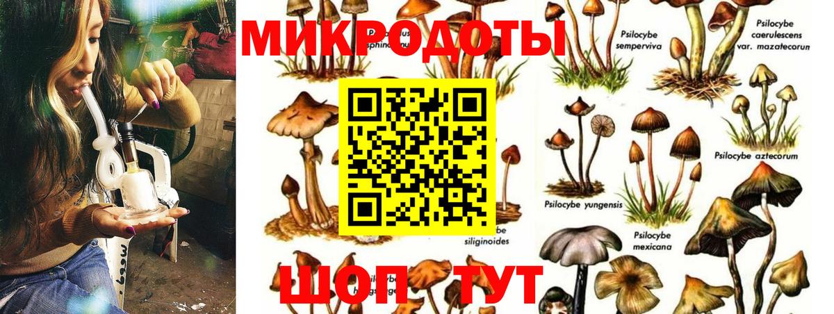 Псилоцибиновые грибы Cubensis Ноябрьск