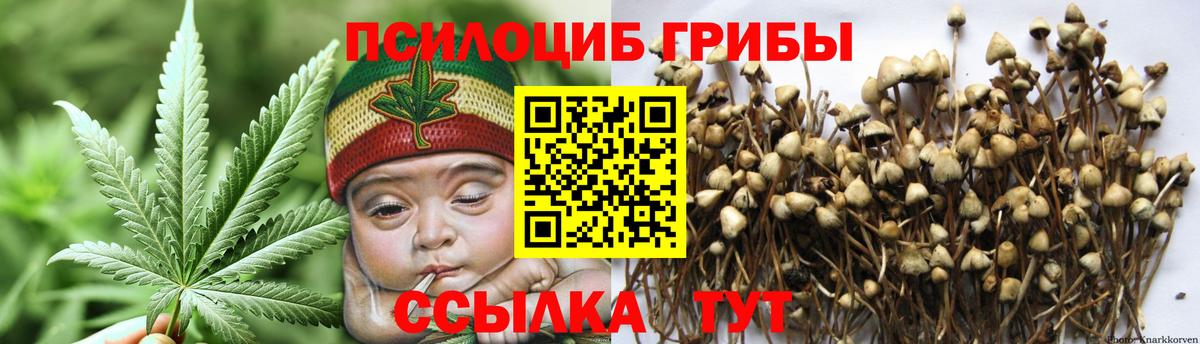 Ноябрьск  Галлюциногенные грибы Psilocybine cubensis  Вход с VPN  Псилоцибиновые грибы ЛСД 